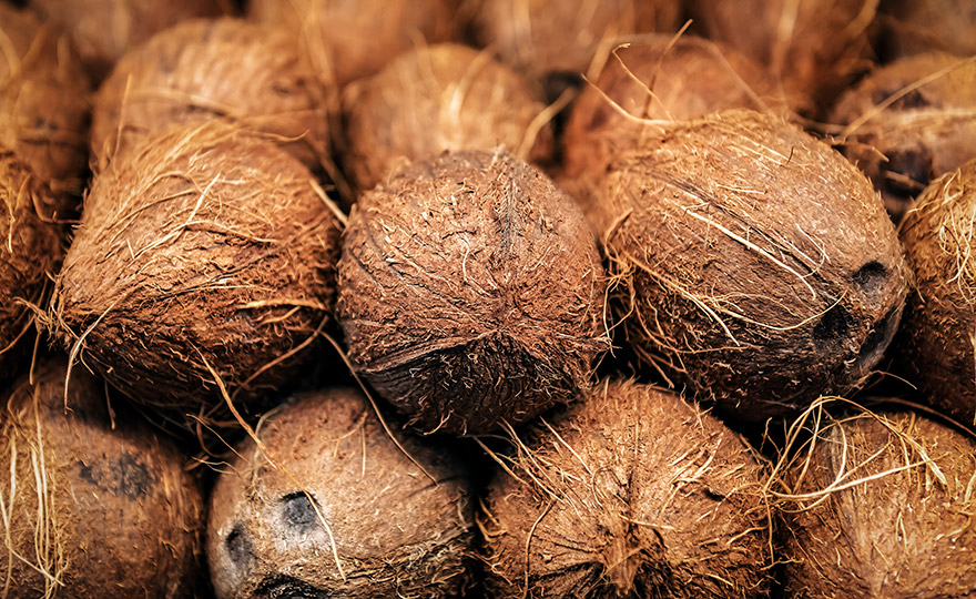 RheVision coconut fiber